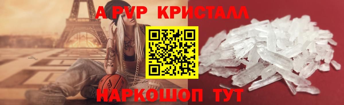 Альфа ПВП СК КРИС Белореченск