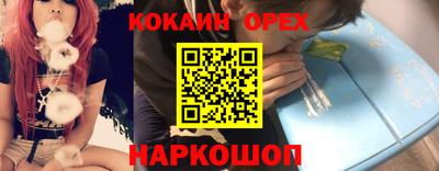 амф Новодвинск